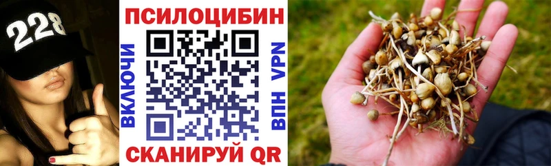 Галлюциногенные грибы прущие грибы  Чапаевск 